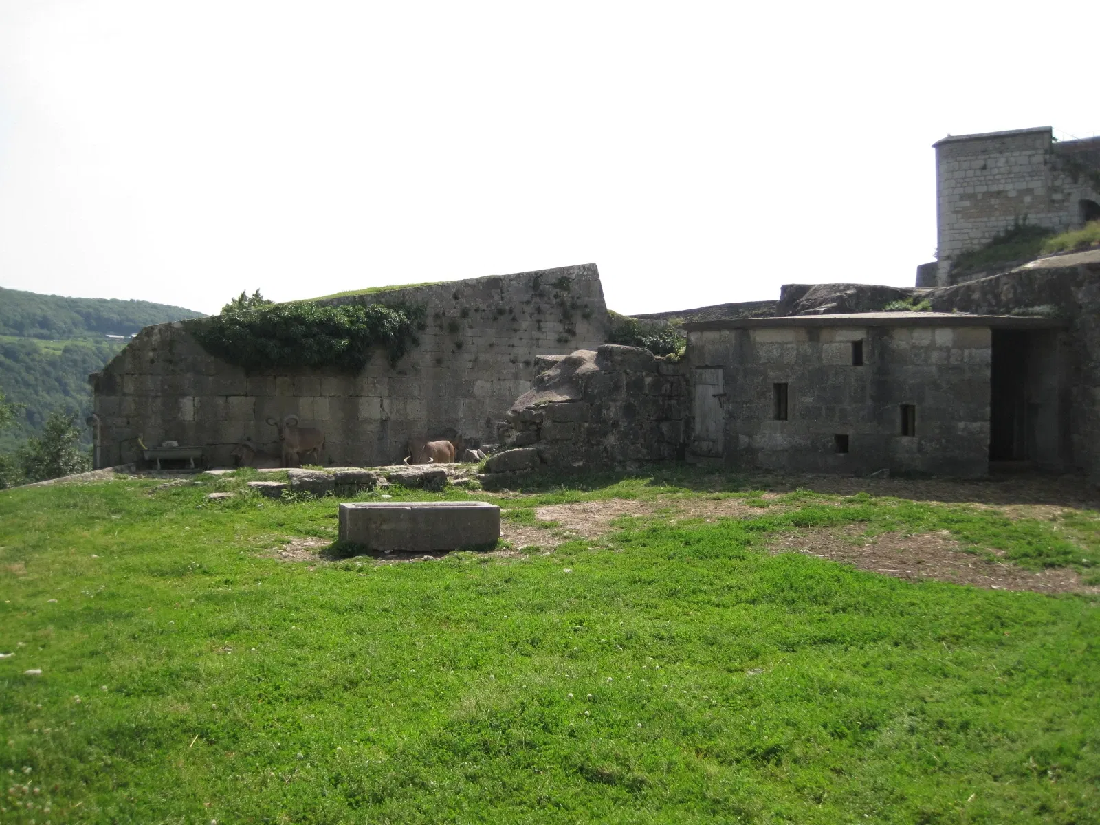 Muséum de Besançon