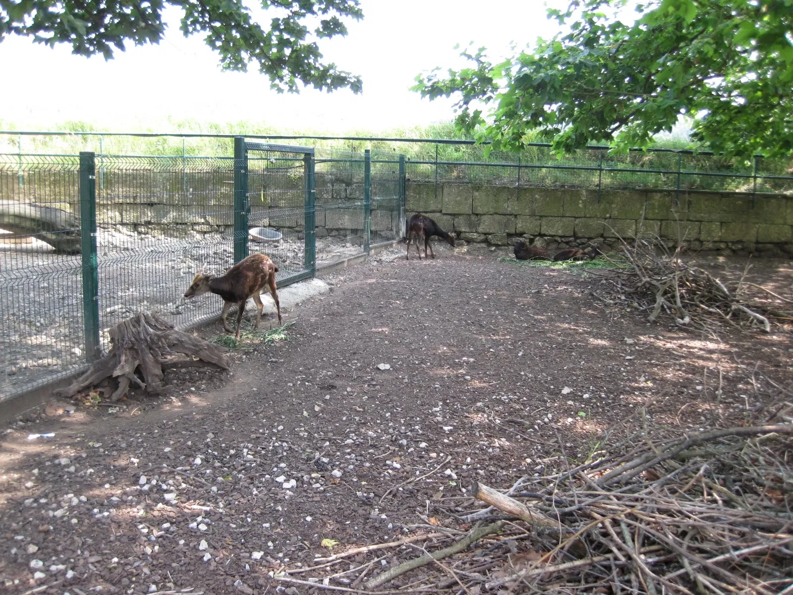 Muséum de Besançon