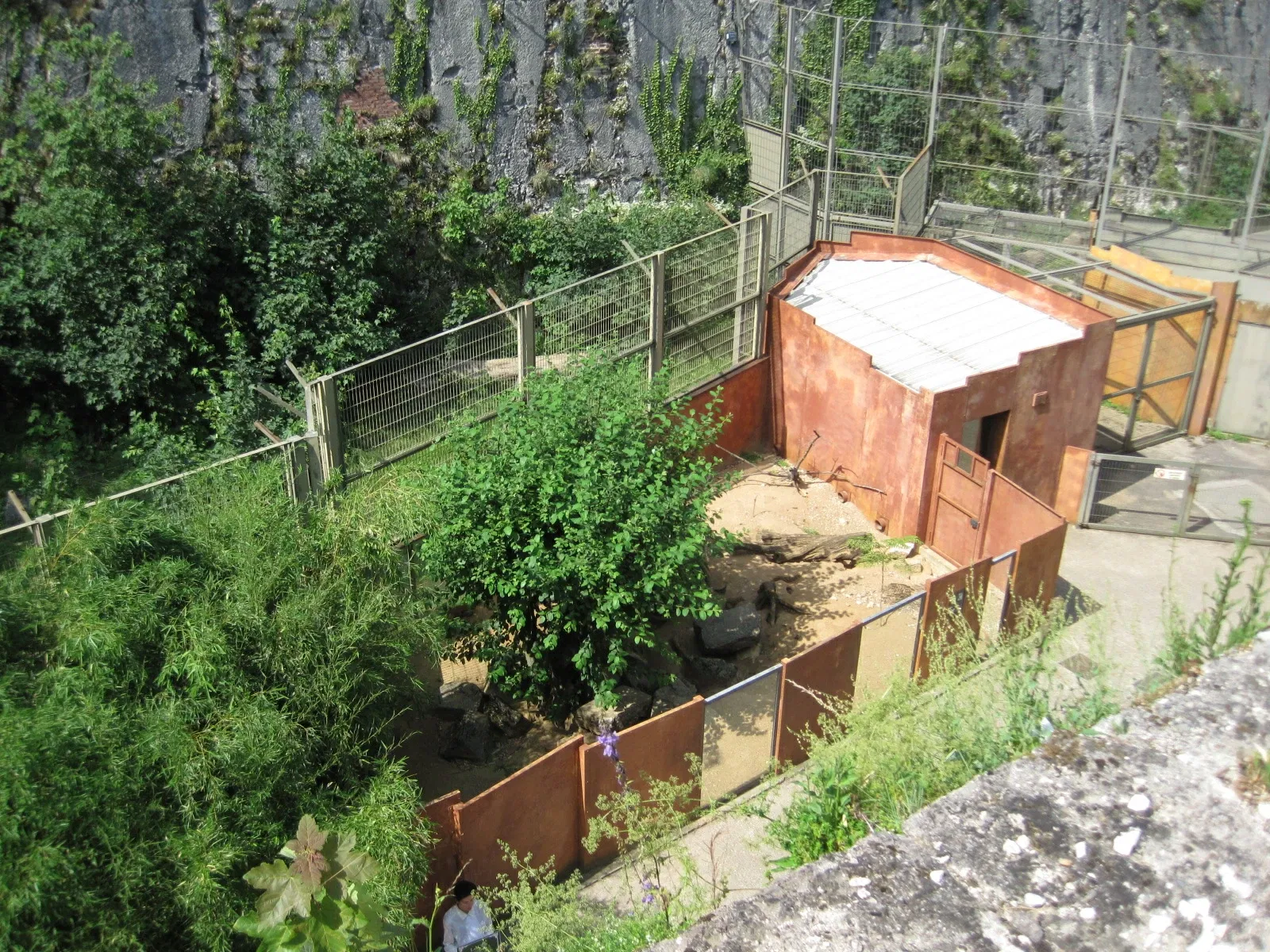 Muséum de Besançon