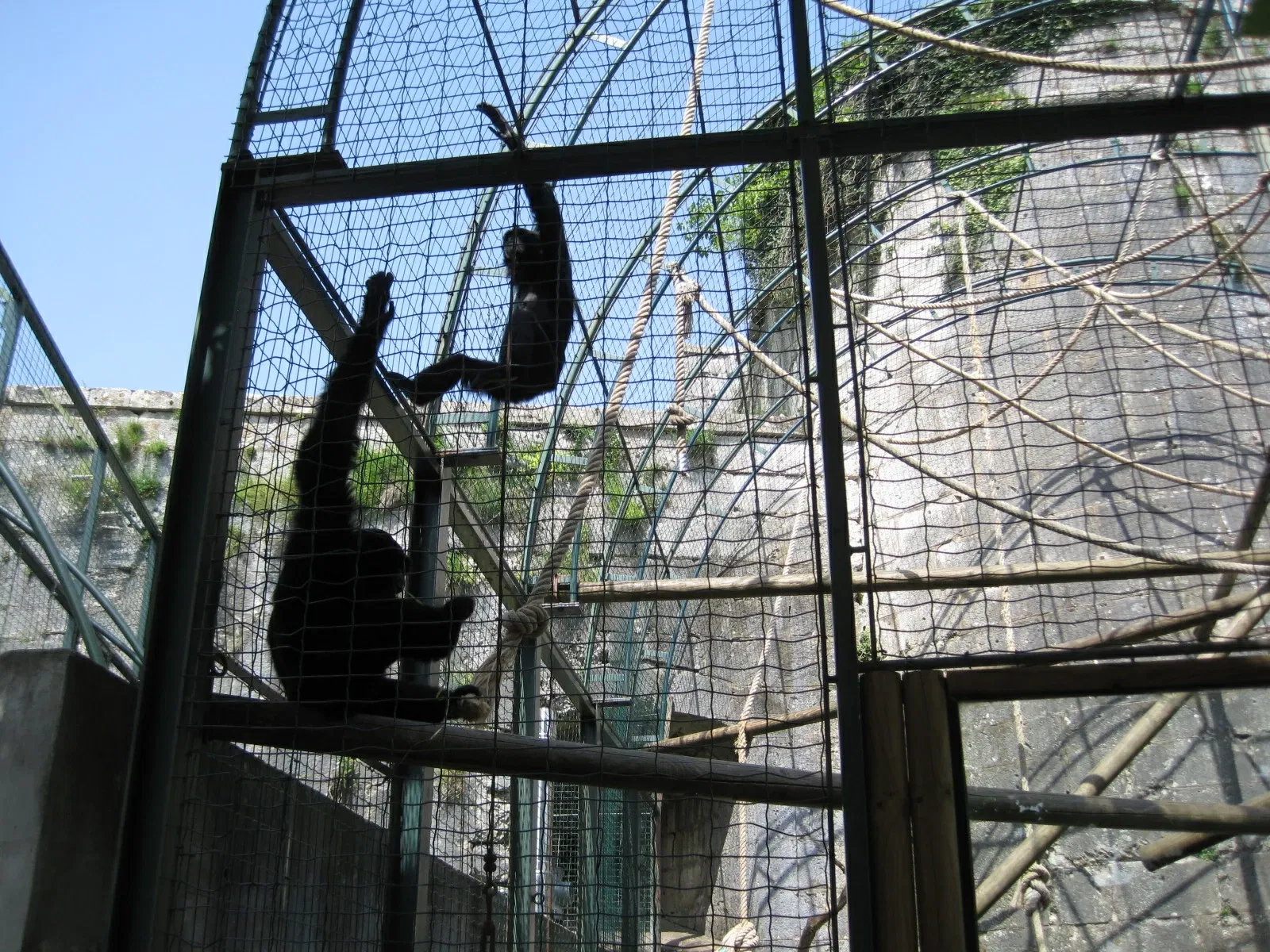 Muséum de Besançon