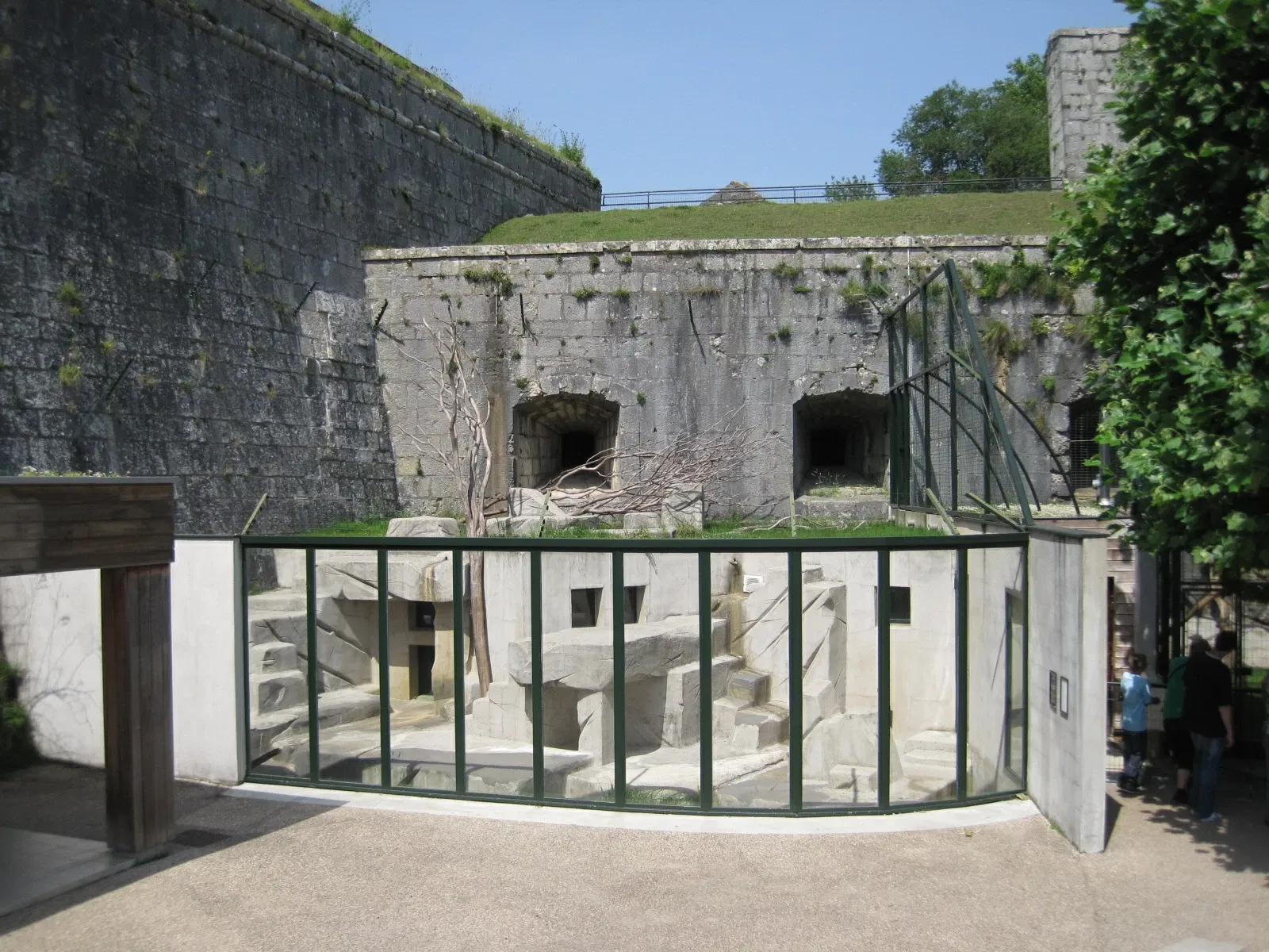 Muséum de Besançon