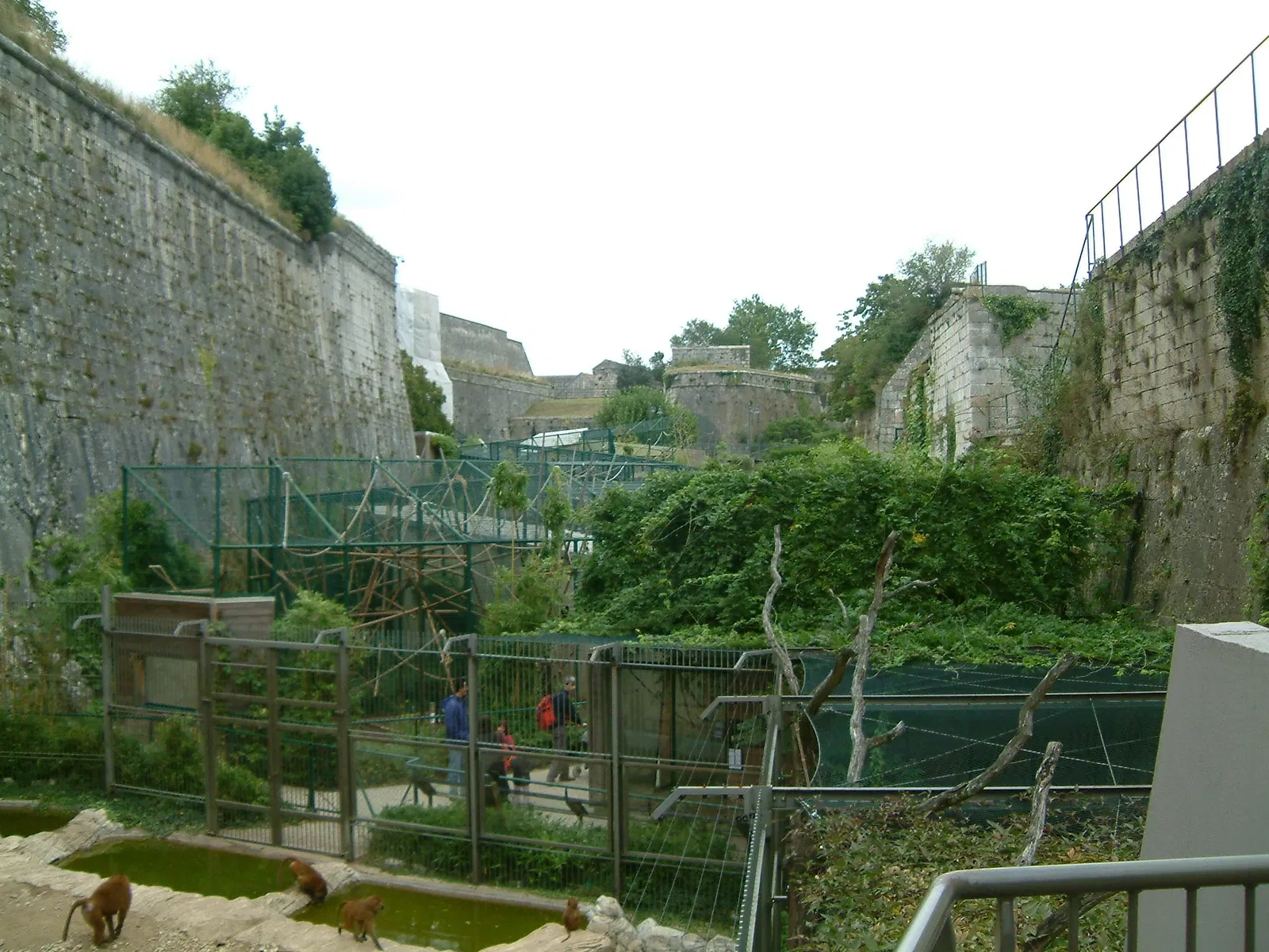 Muséum de Besançon