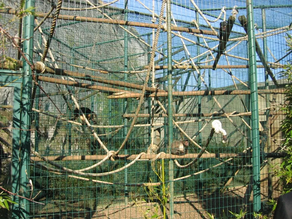 Muséum de Besançon