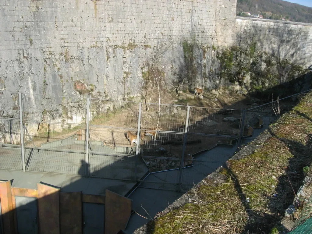 Muséum de Besançon