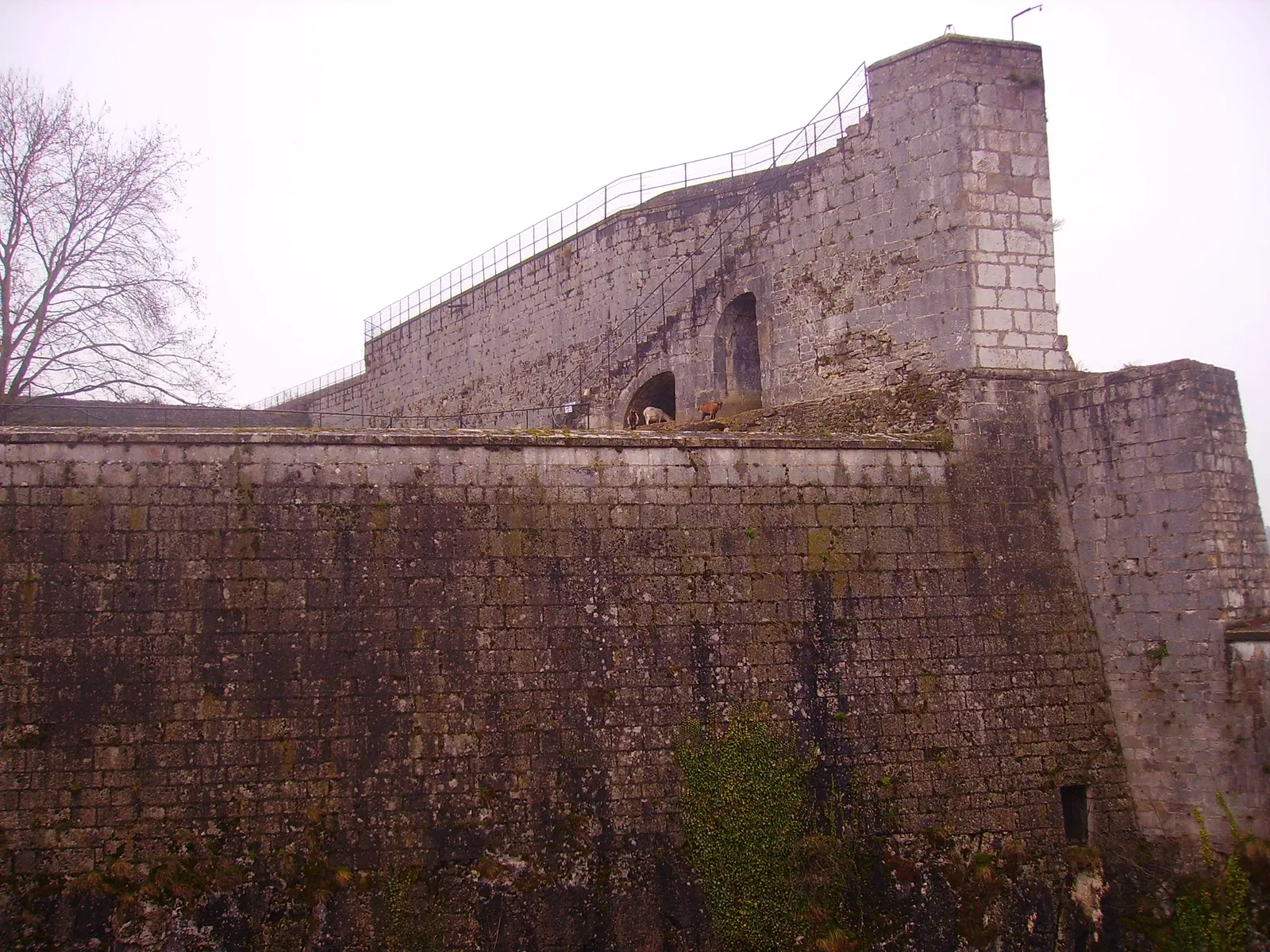 Muséum de Besançon