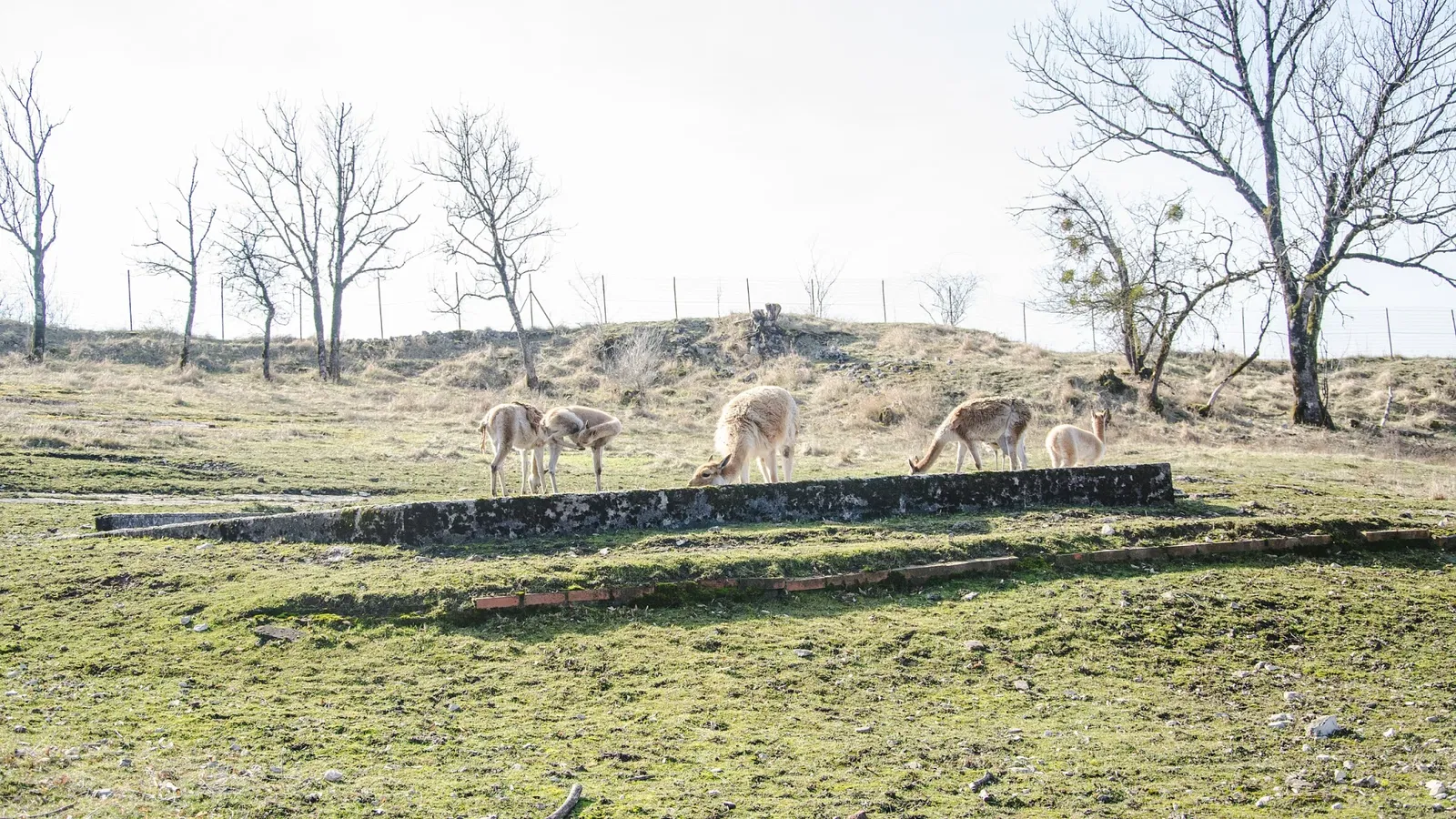 Muséum de Besançon