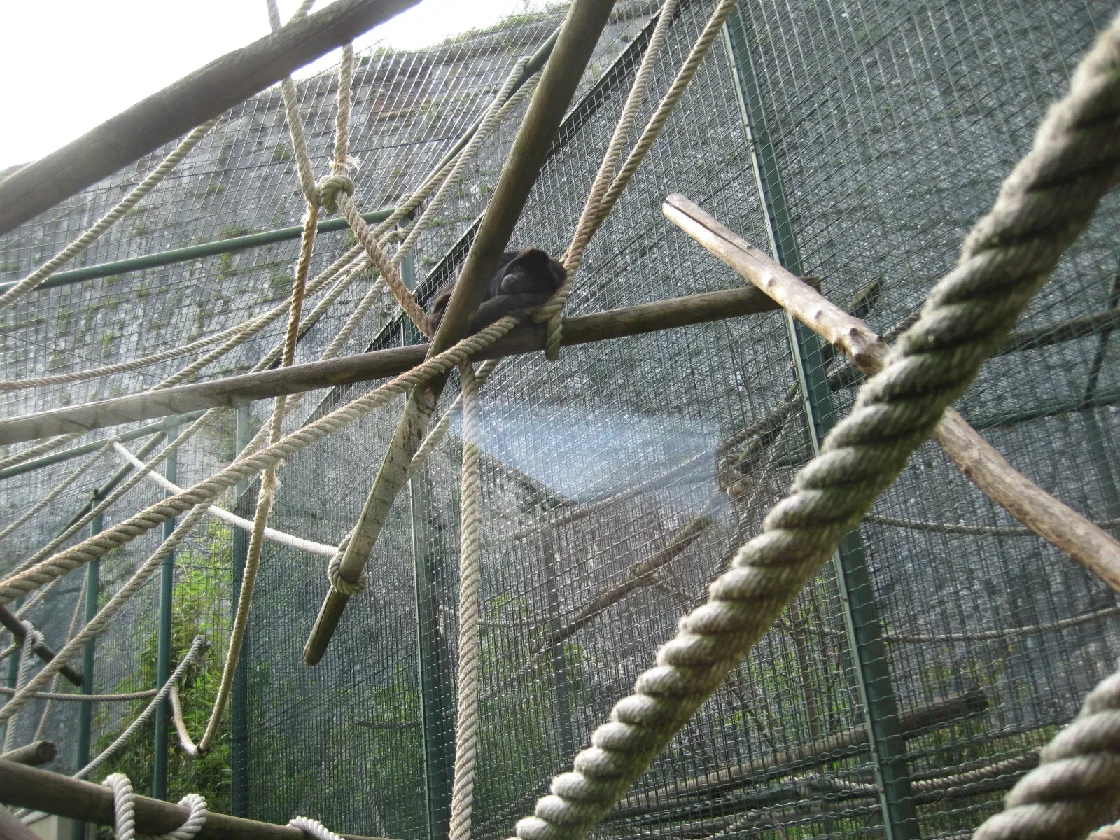 Muséum de Besançon