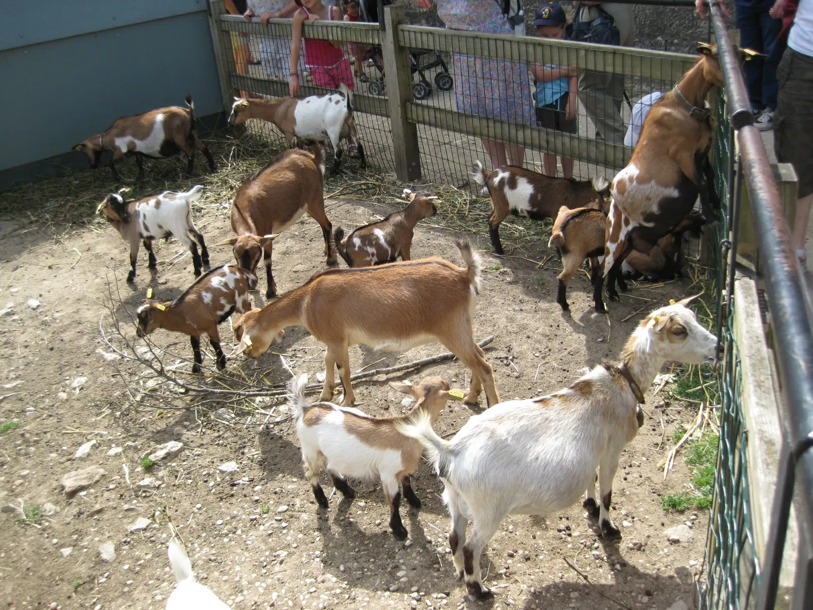 Muséum de Besançon