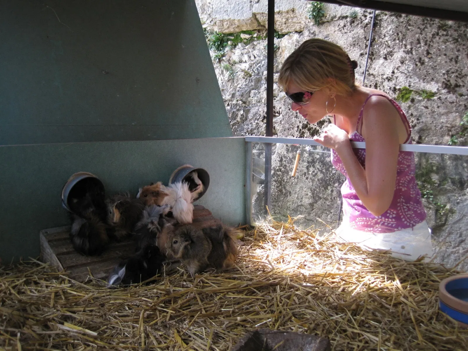 Muséum de Besançon