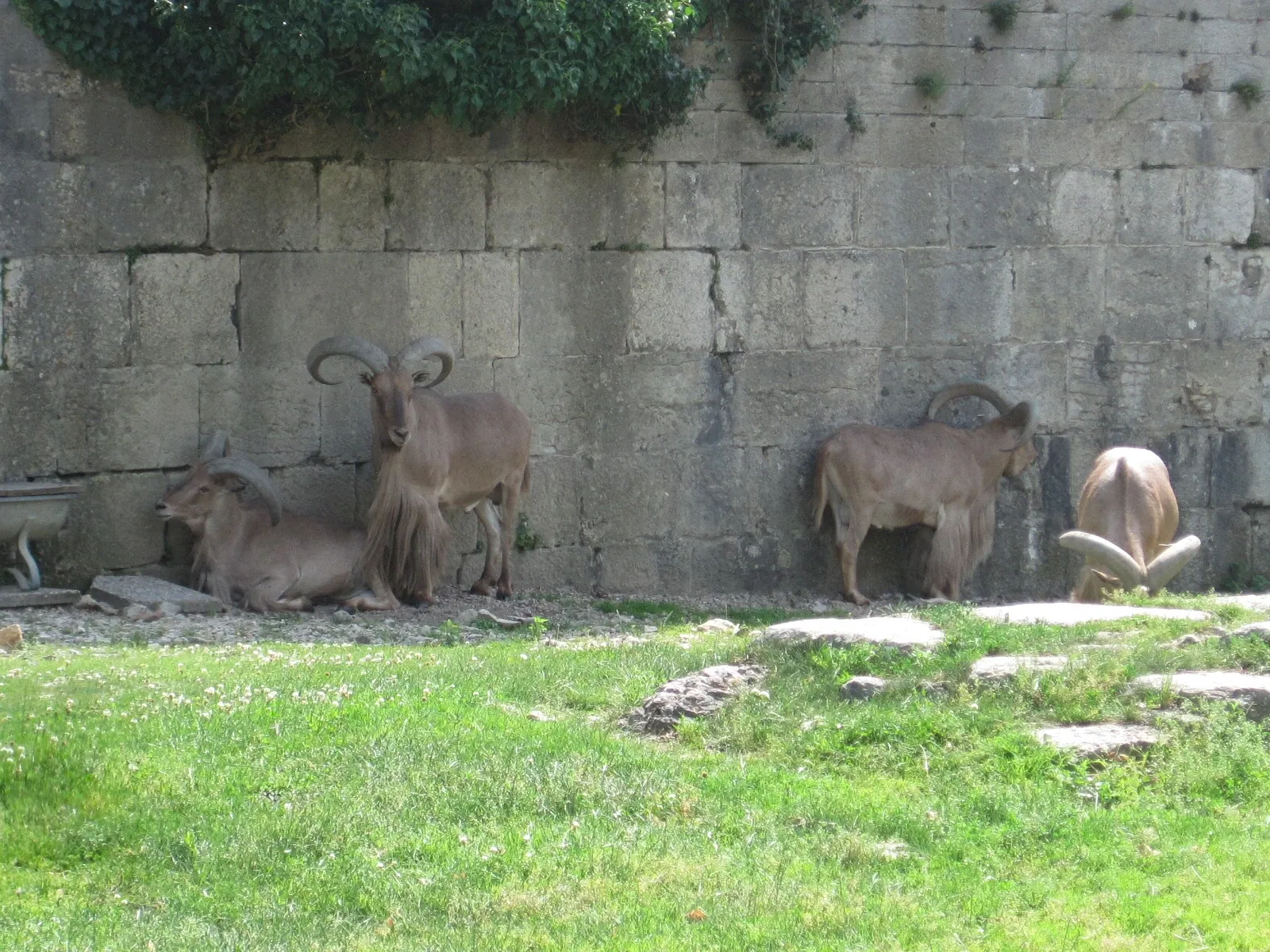 Muséum de Besançon