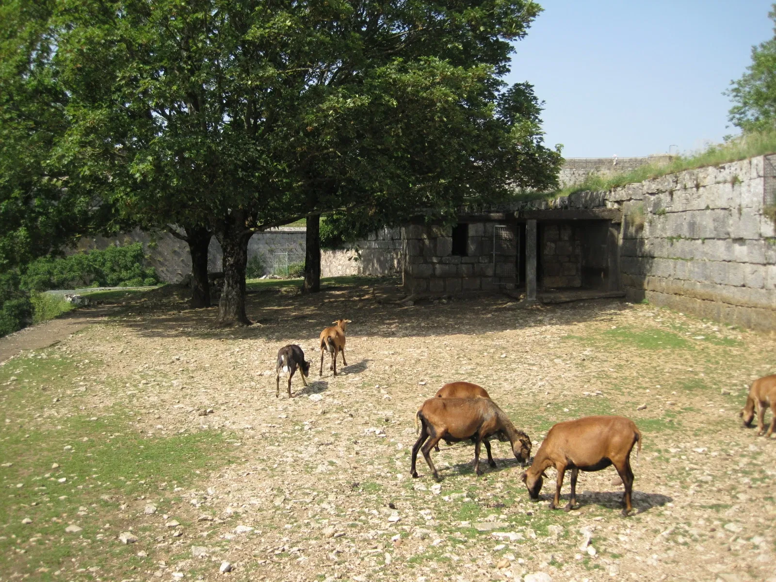 Muséum de Besançon