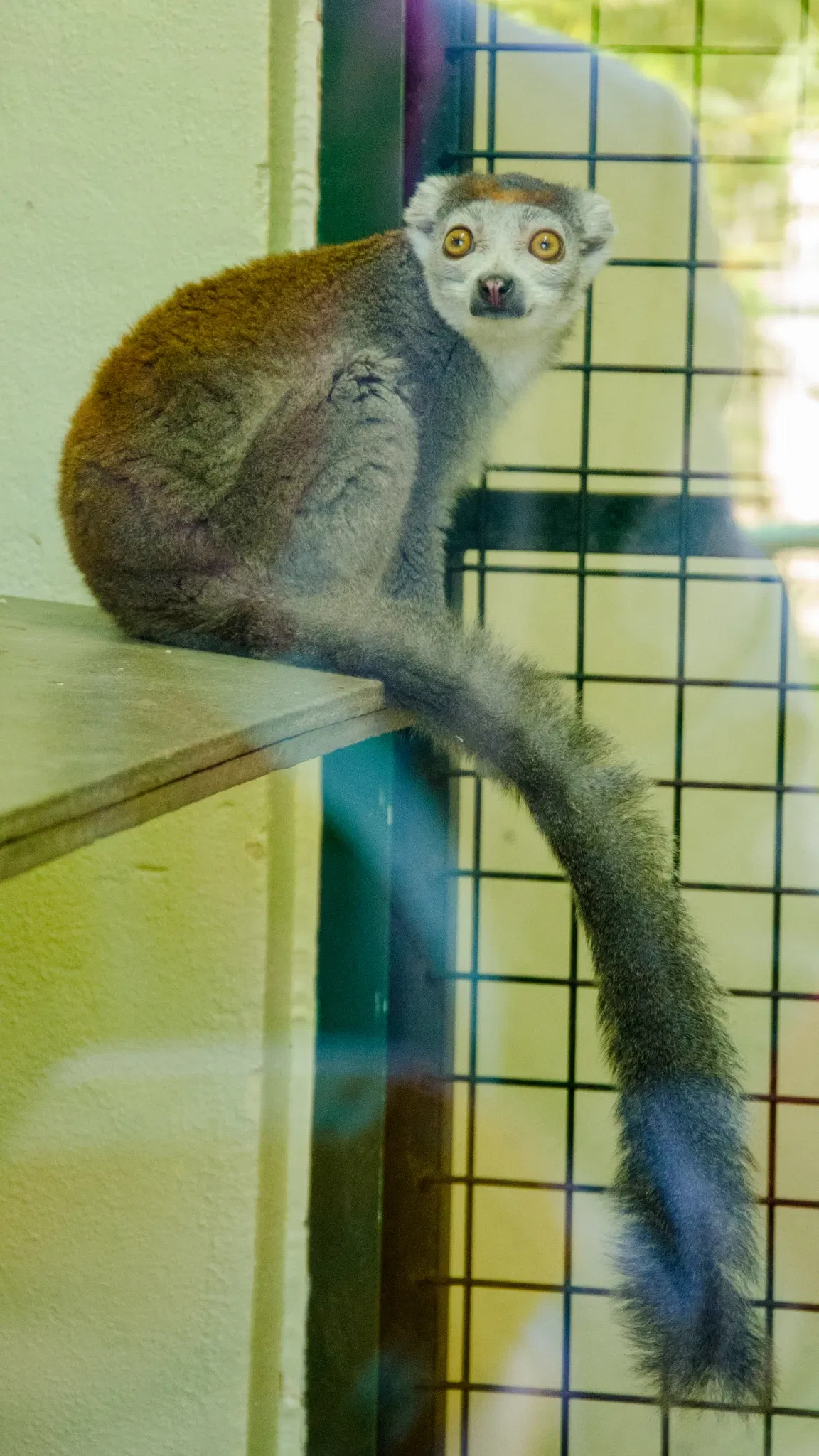 Muséum de Besançon