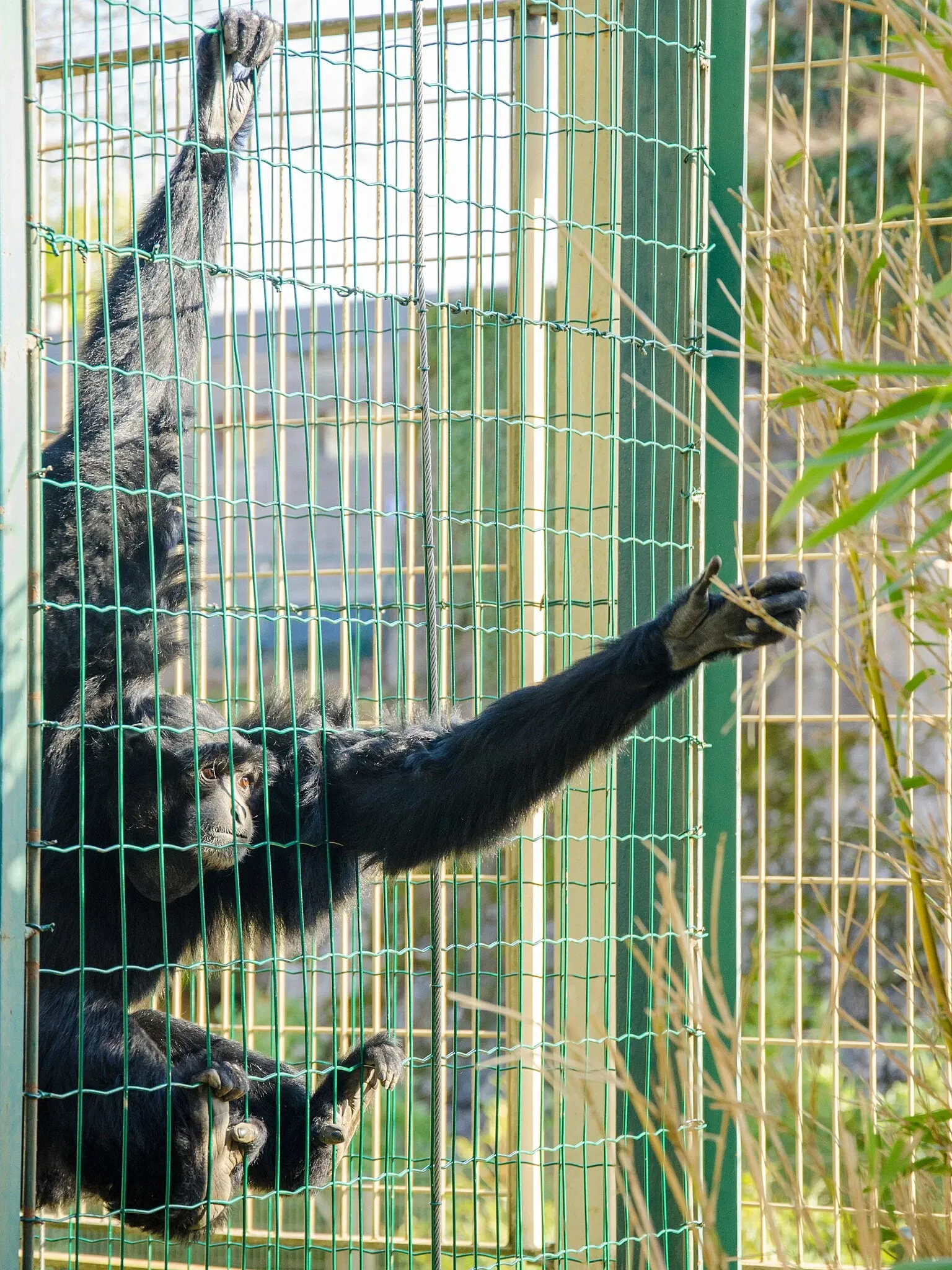 Muséum de Besançon