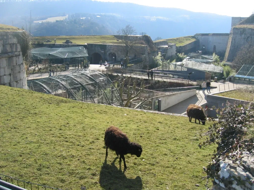 Muséum de Besançon