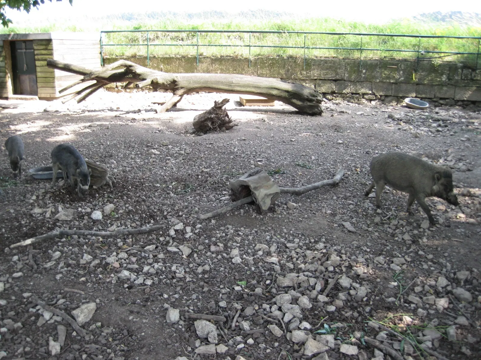 Muséum de Besançon