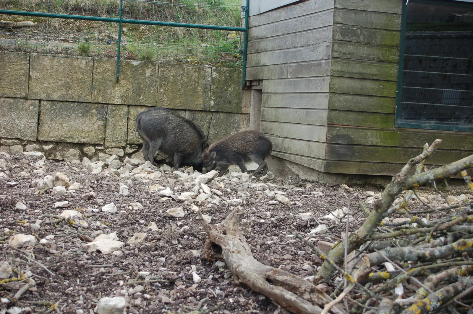 Muséum de Besançon