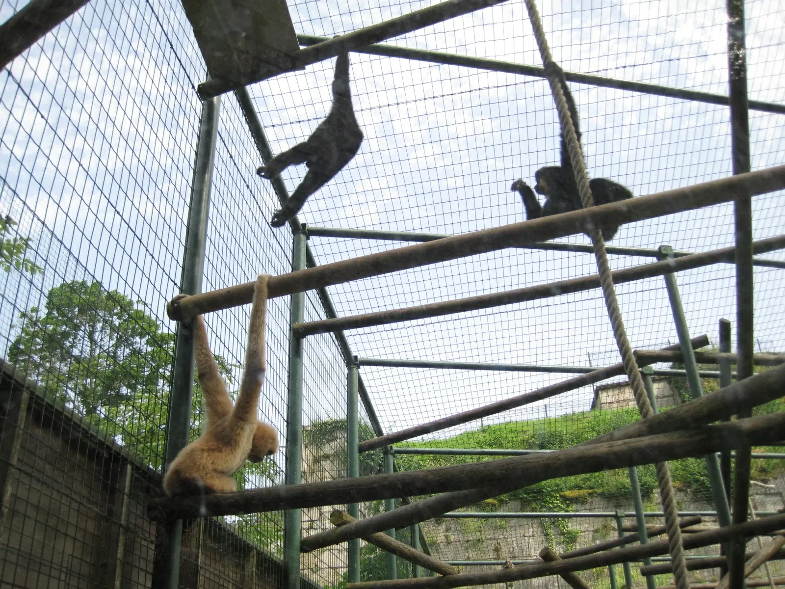 Muséum de Besançon