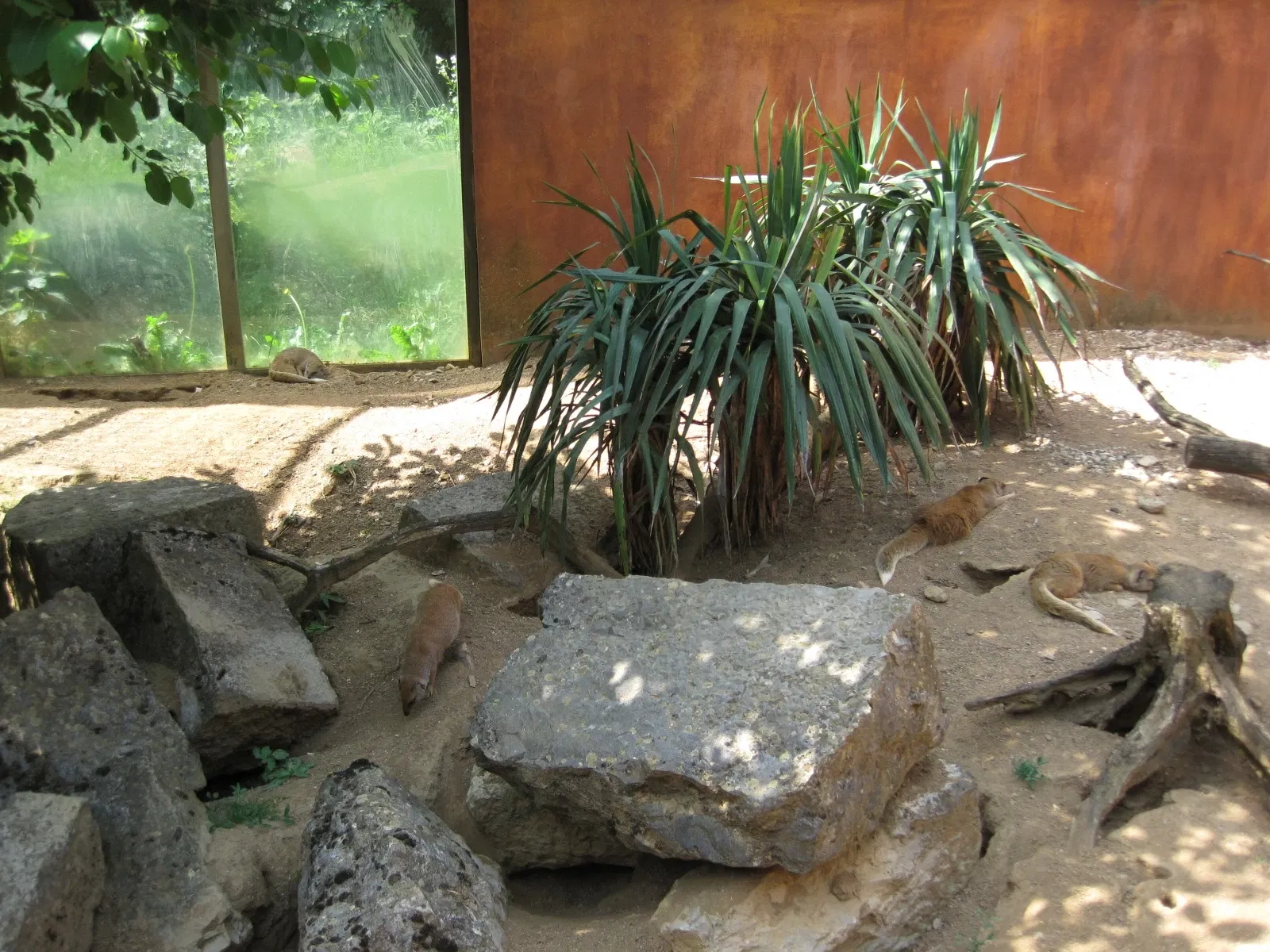 Muséum de Besançon