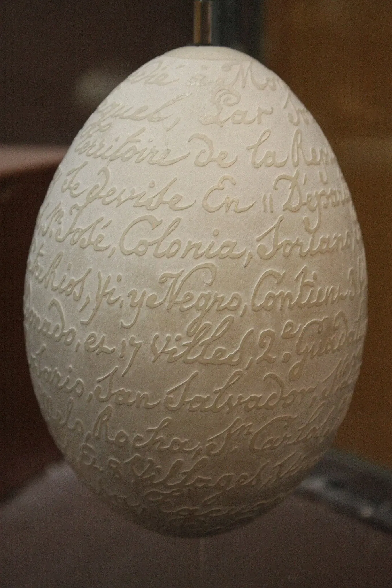 Muséum d’Histoire Naturelle