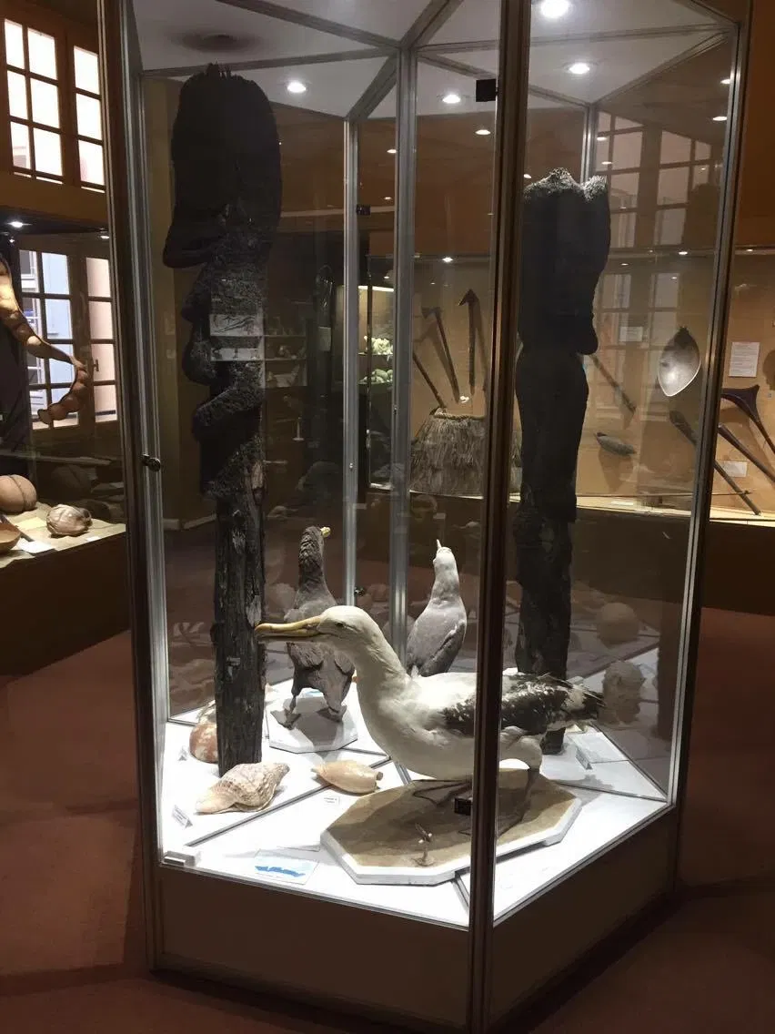 Muséum d’Histoire Naturelle