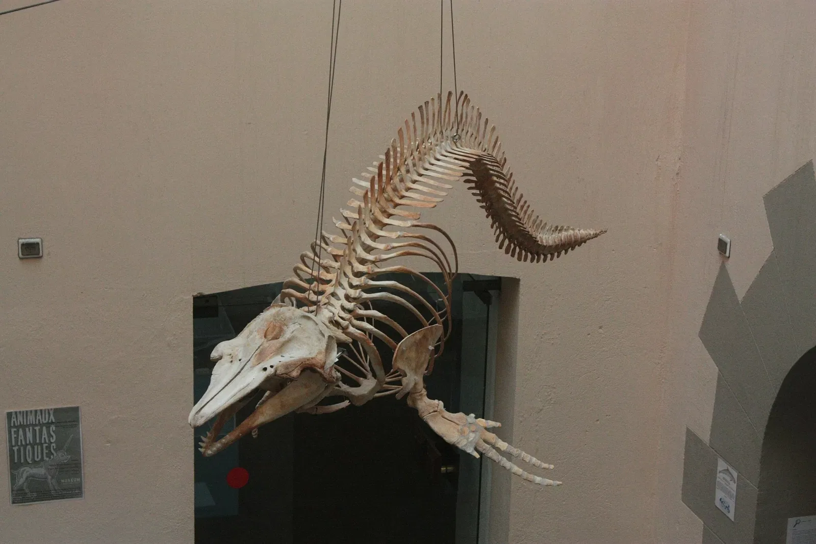 Natural History Museum