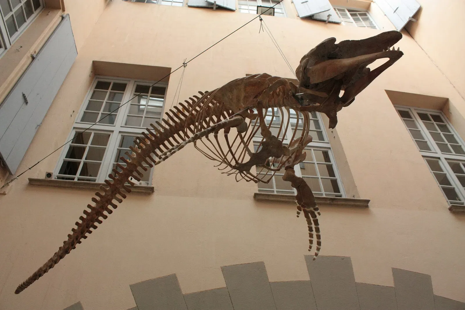 Muséum d’Histoire Naturelle