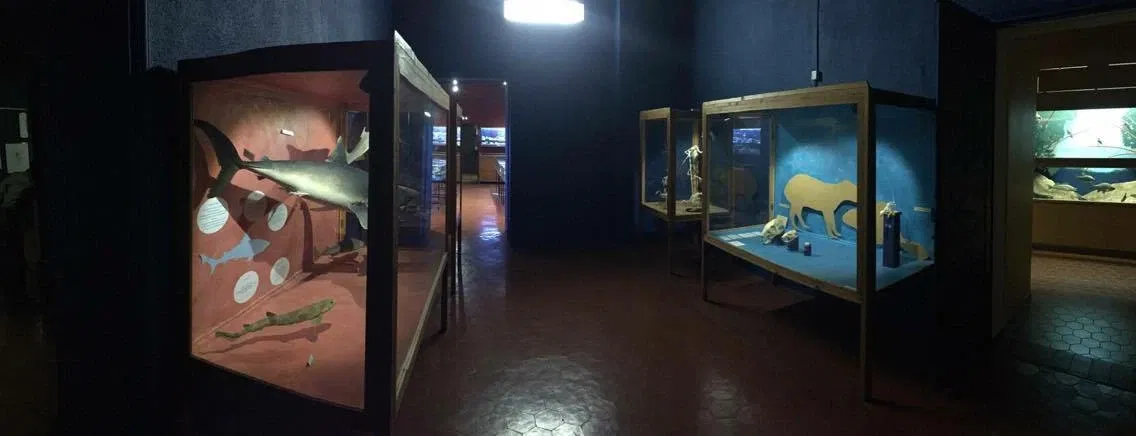 Natural History Museum