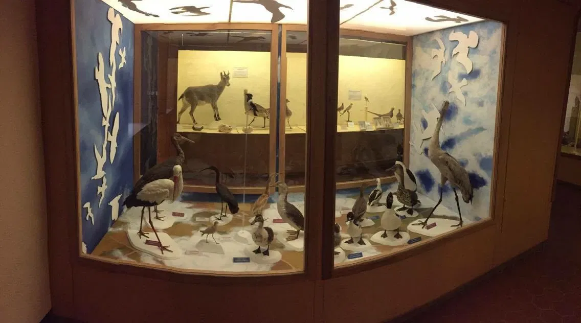 Muséum d’Histoire Naturelle