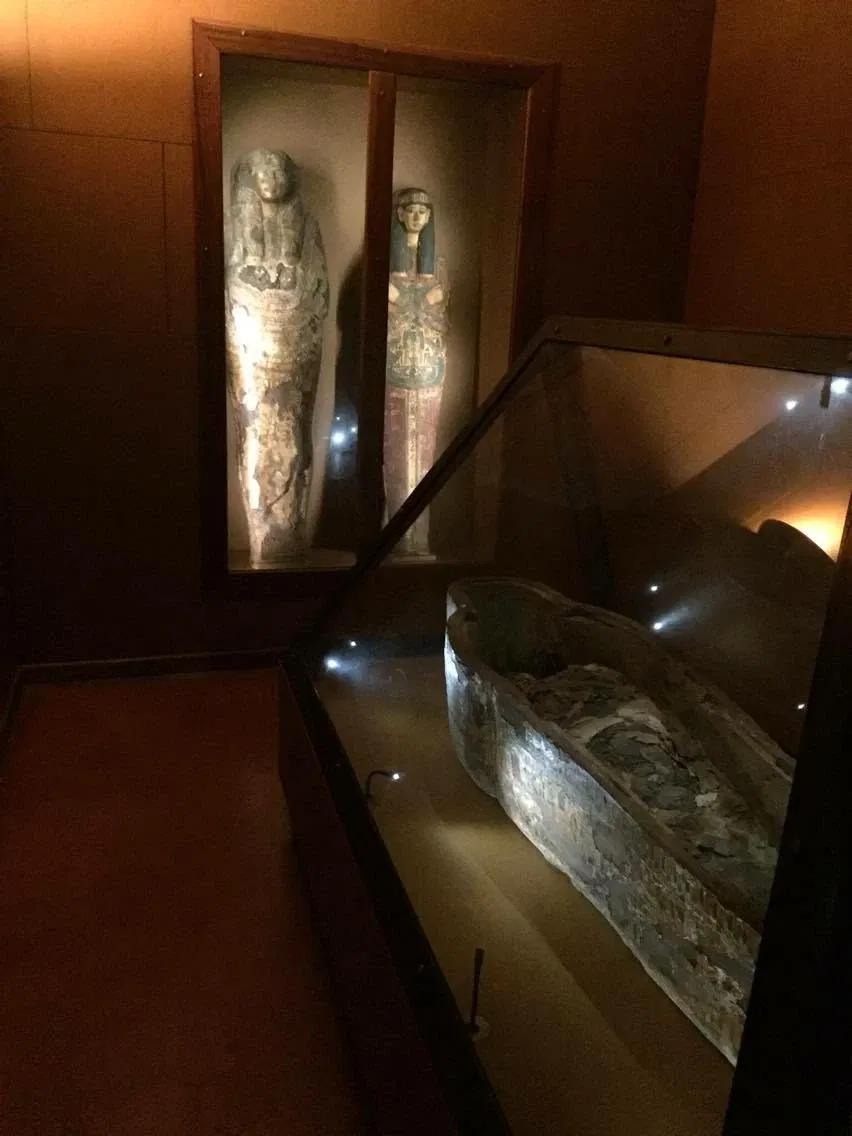 Muséum d’Histoire Naturelle