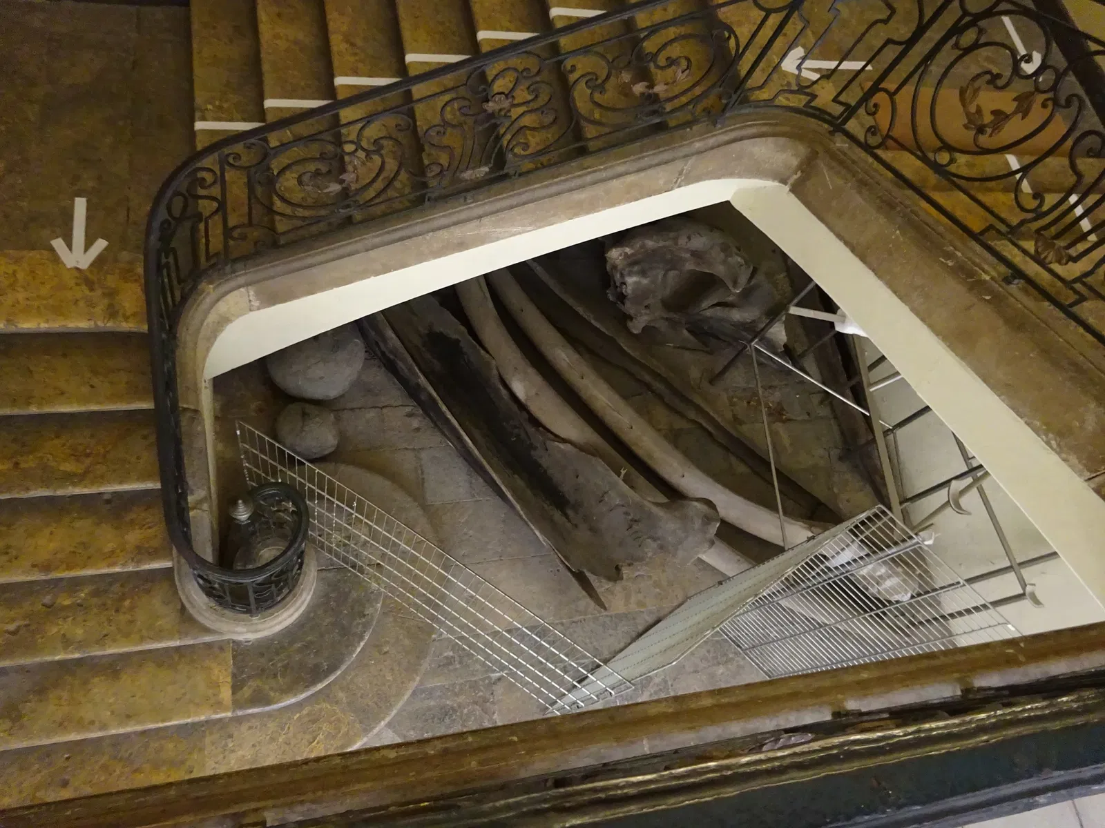 Muséum d’Histoire Naturelle