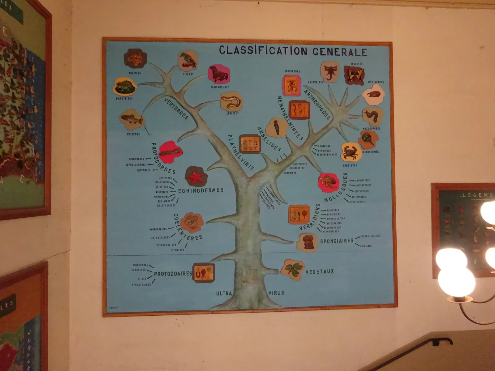 Natural History Museum