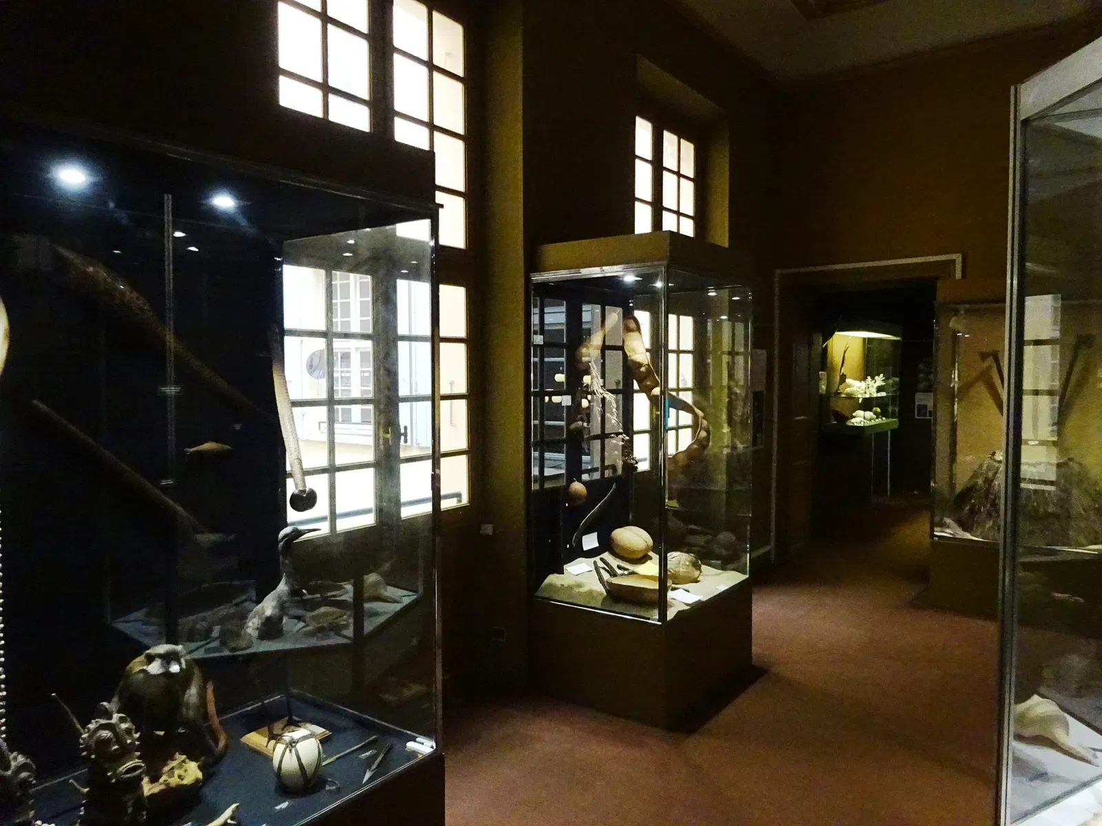 Natural History Museum