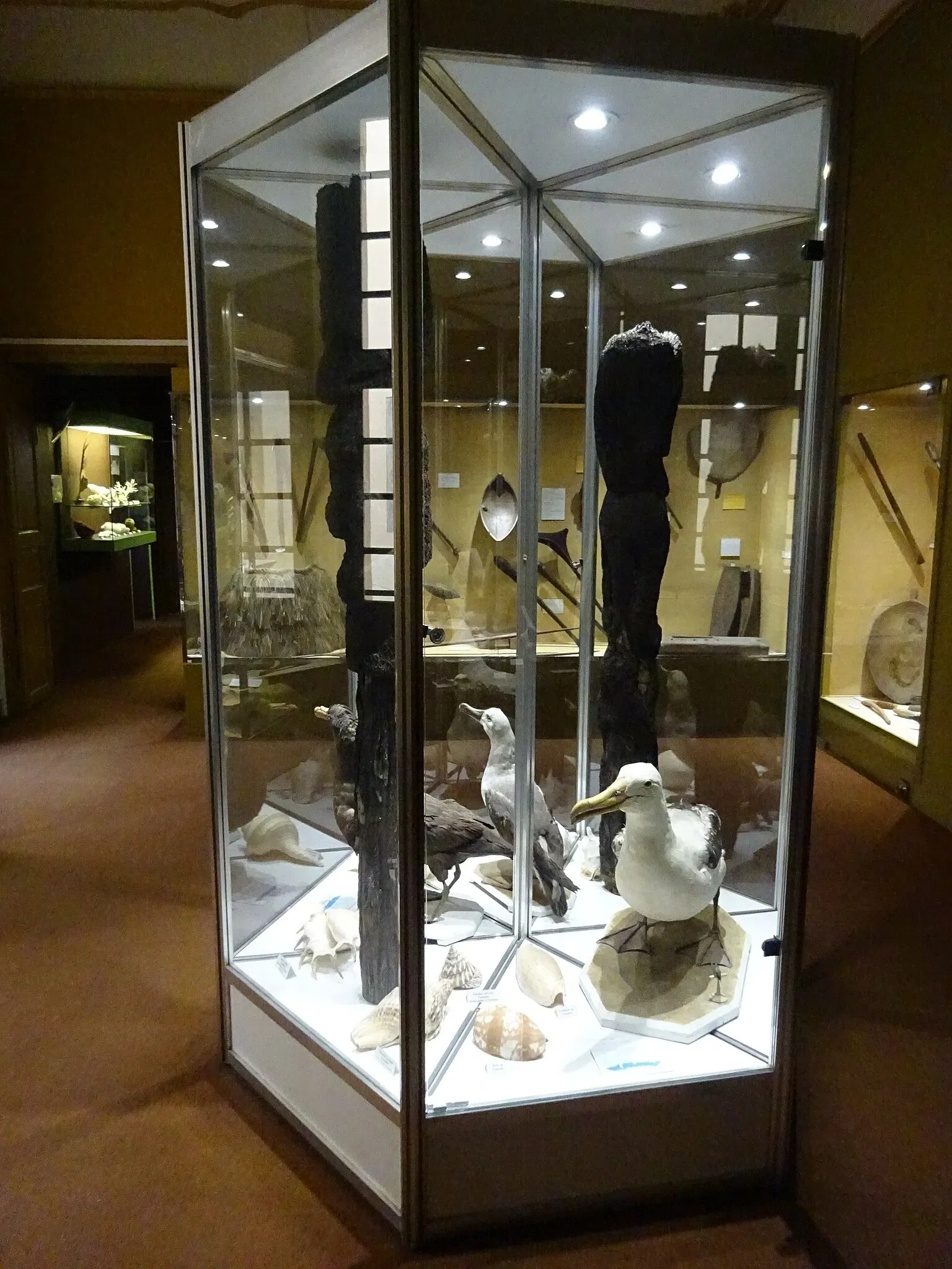 Natural History Museum