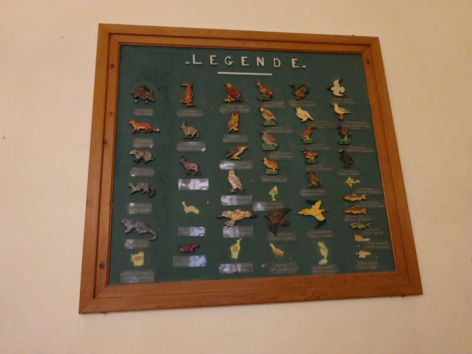 Muséum d’Histoire Naturelle