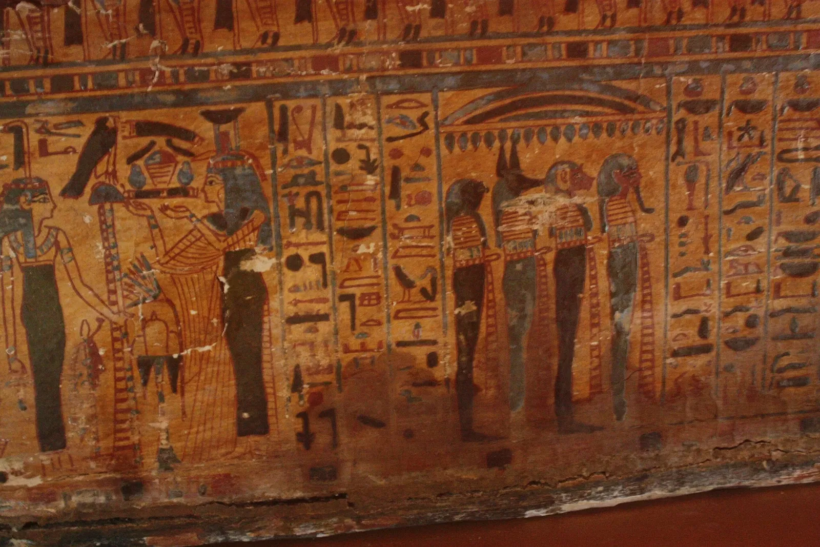 Natural History Museum