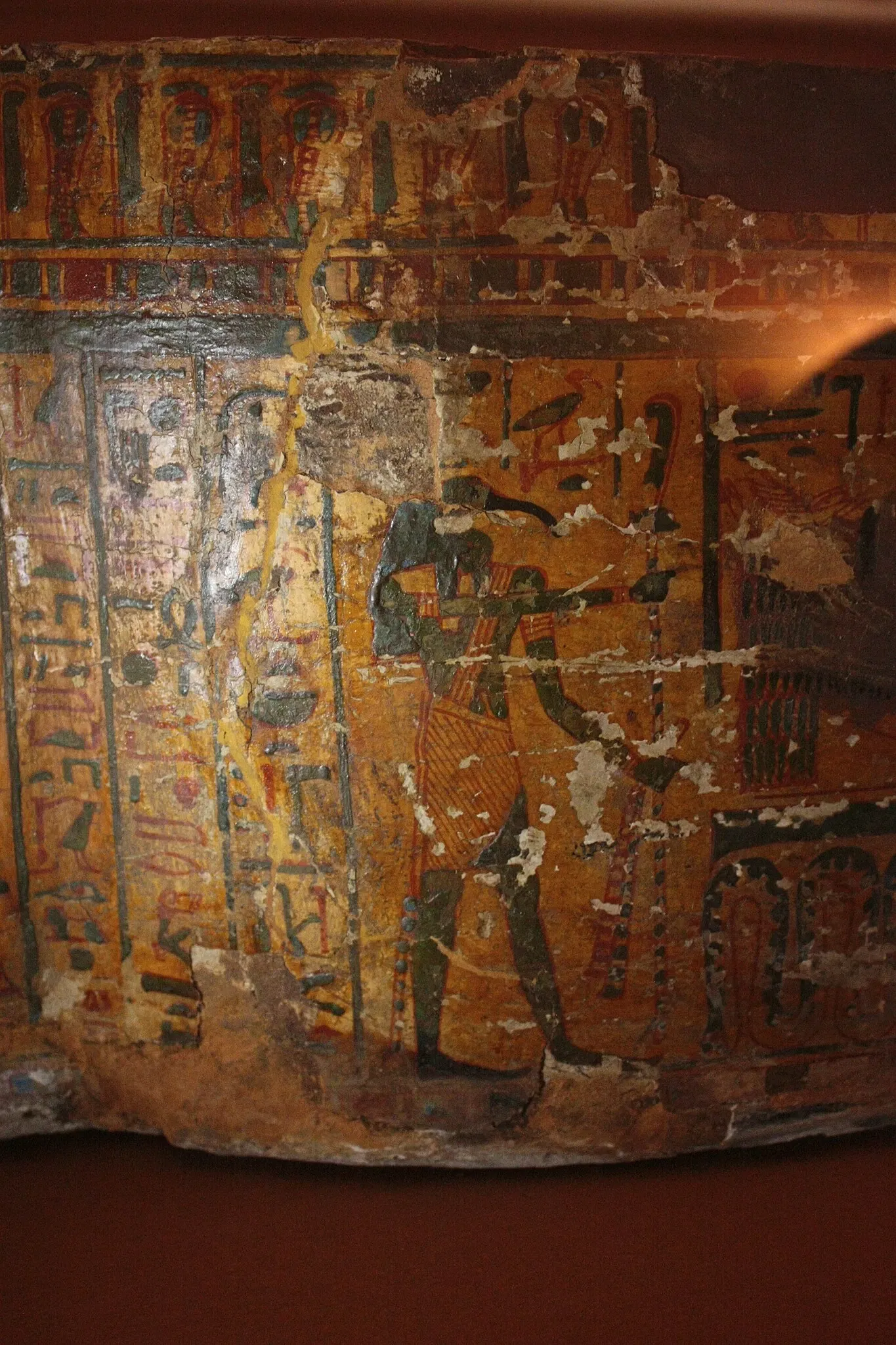 Muséum d’Histoire Naturelle