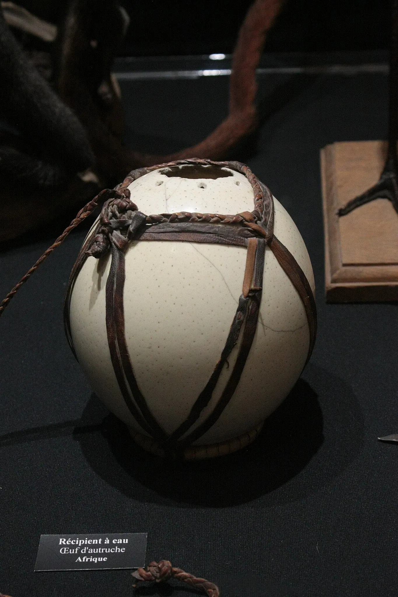 Muséum d’Histoire Naturelle