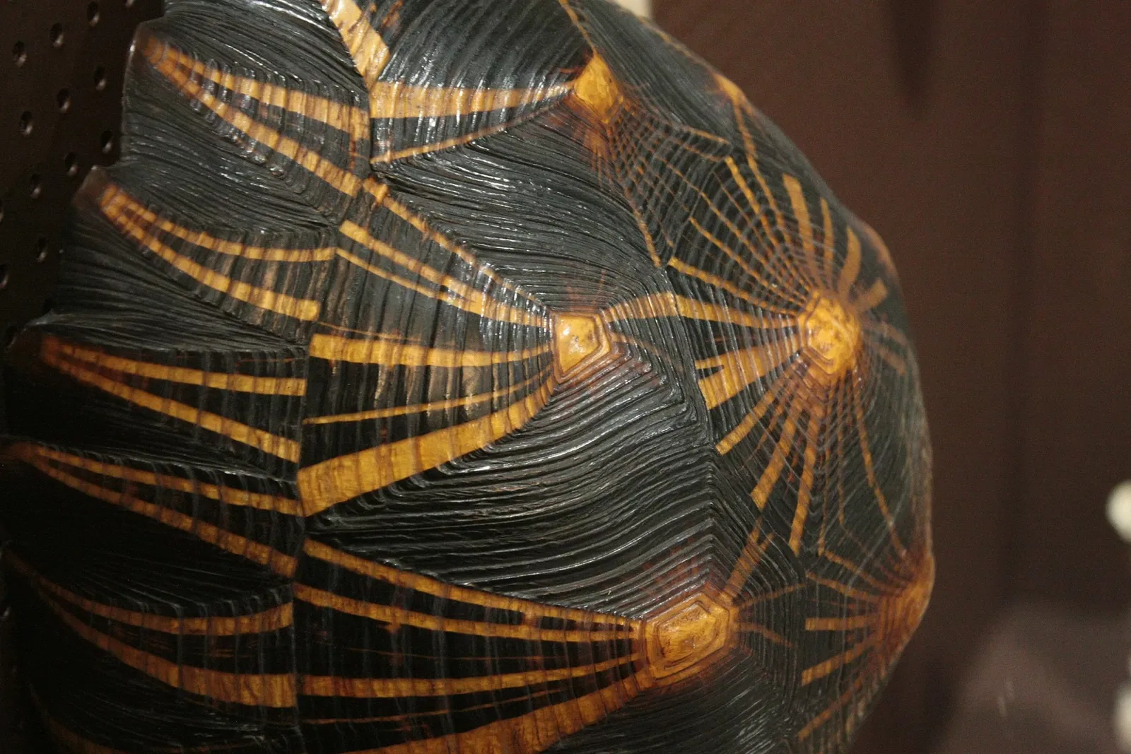 Natural History Museum