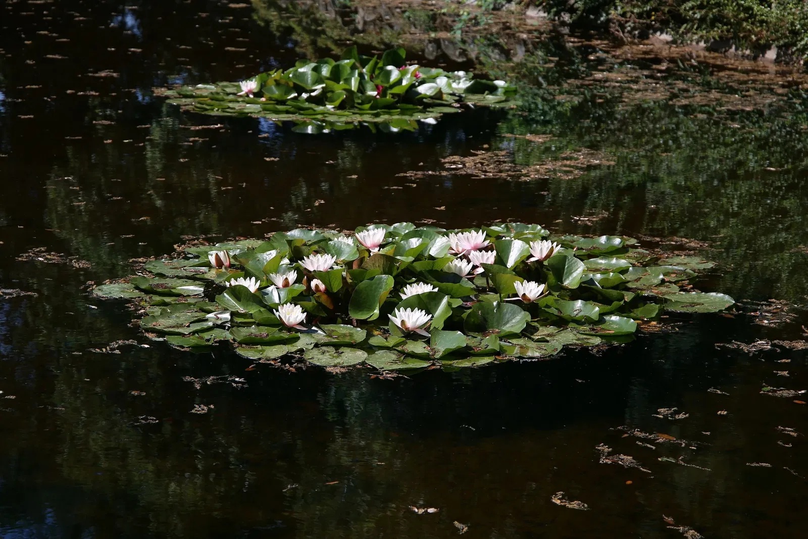 Skulpturenpark Villa Celle