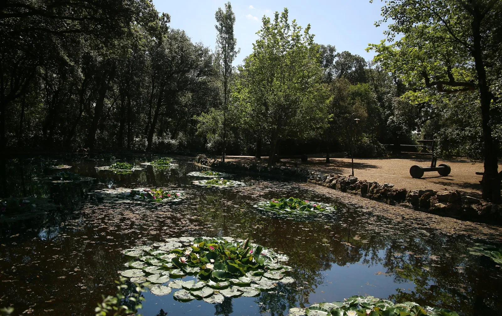 Beeldenpark Villa Celle