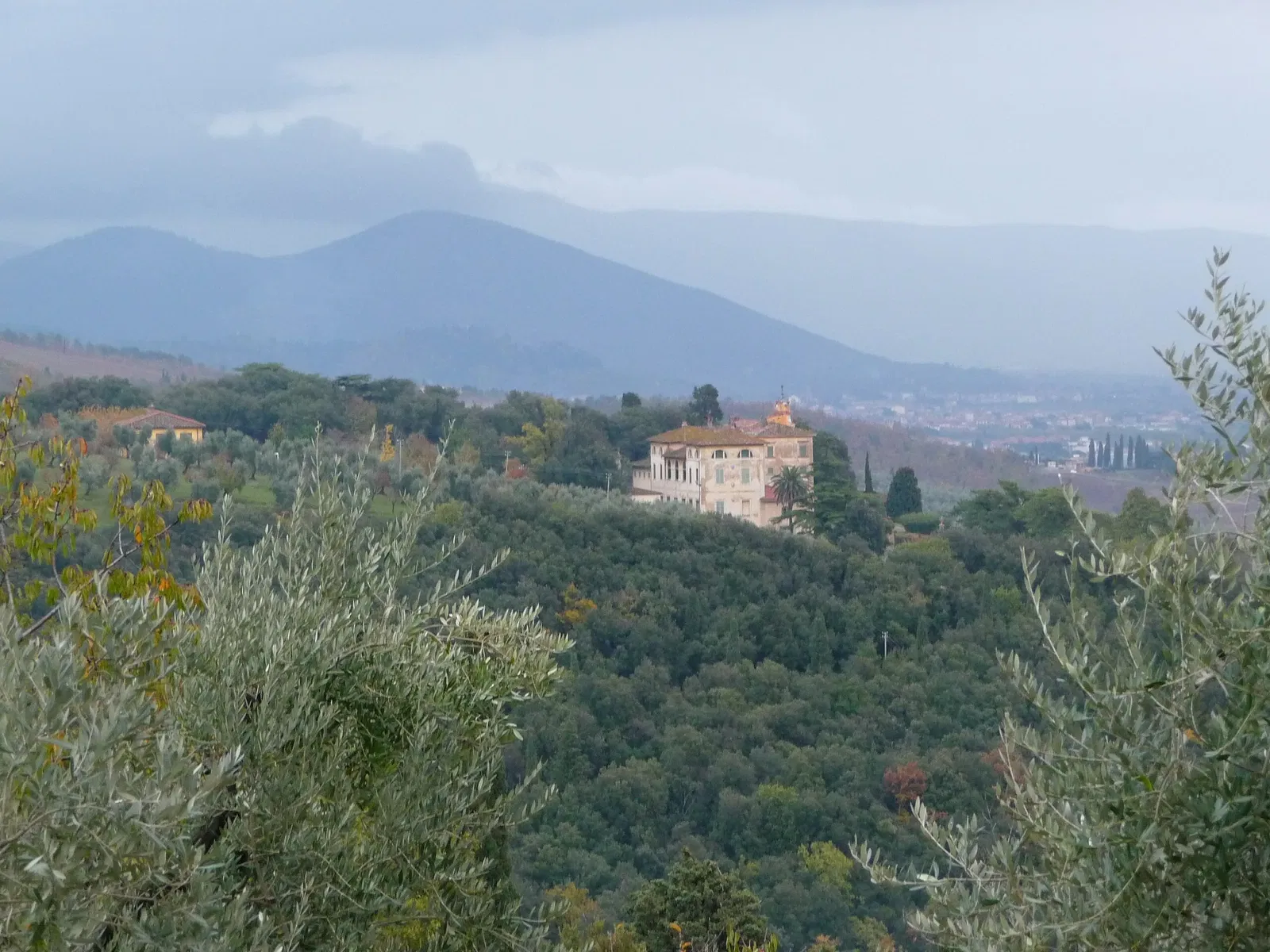 Collezione Gori - Fattoria di Celle