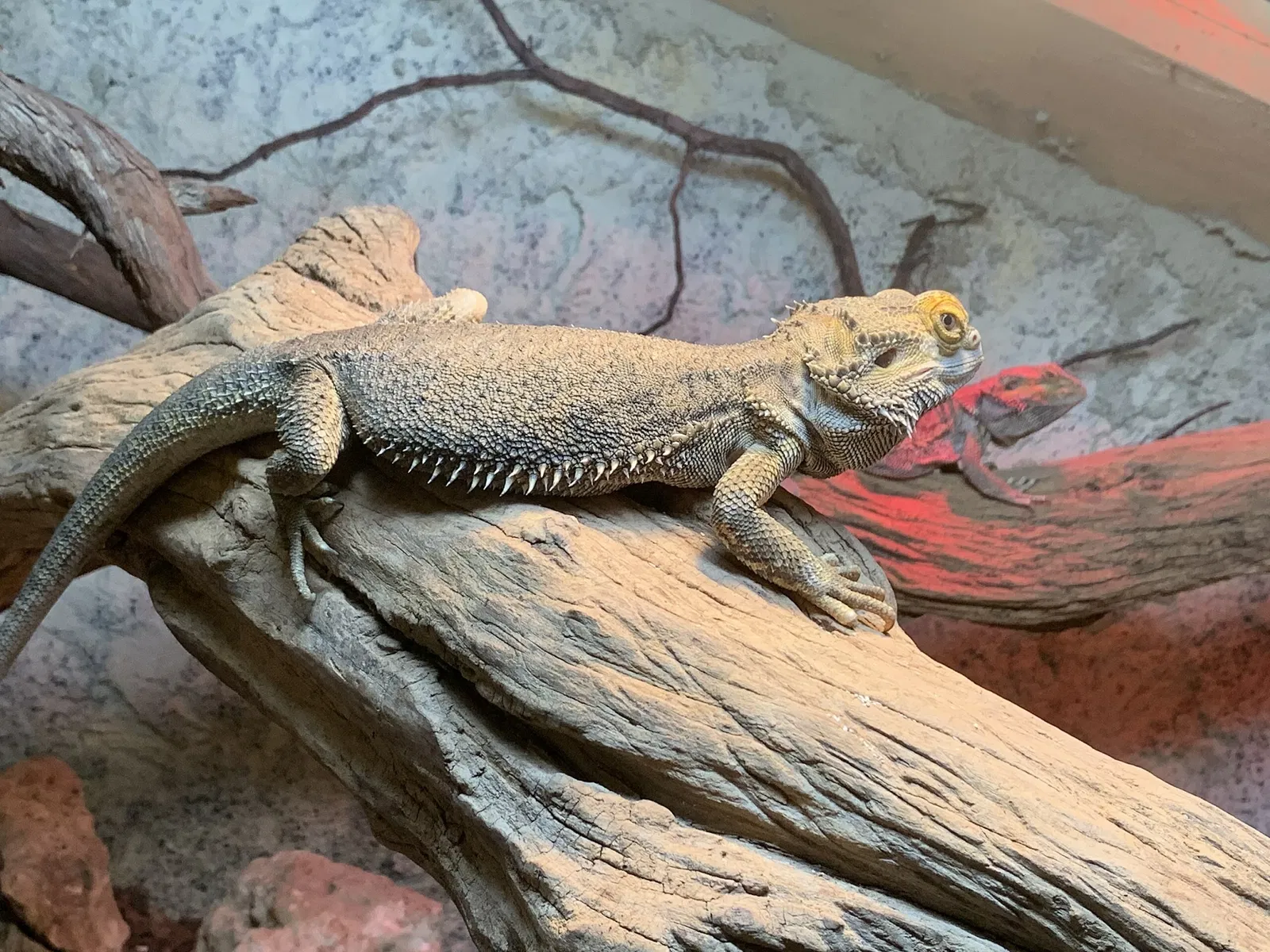 Giardino Zoologico di Pistoia