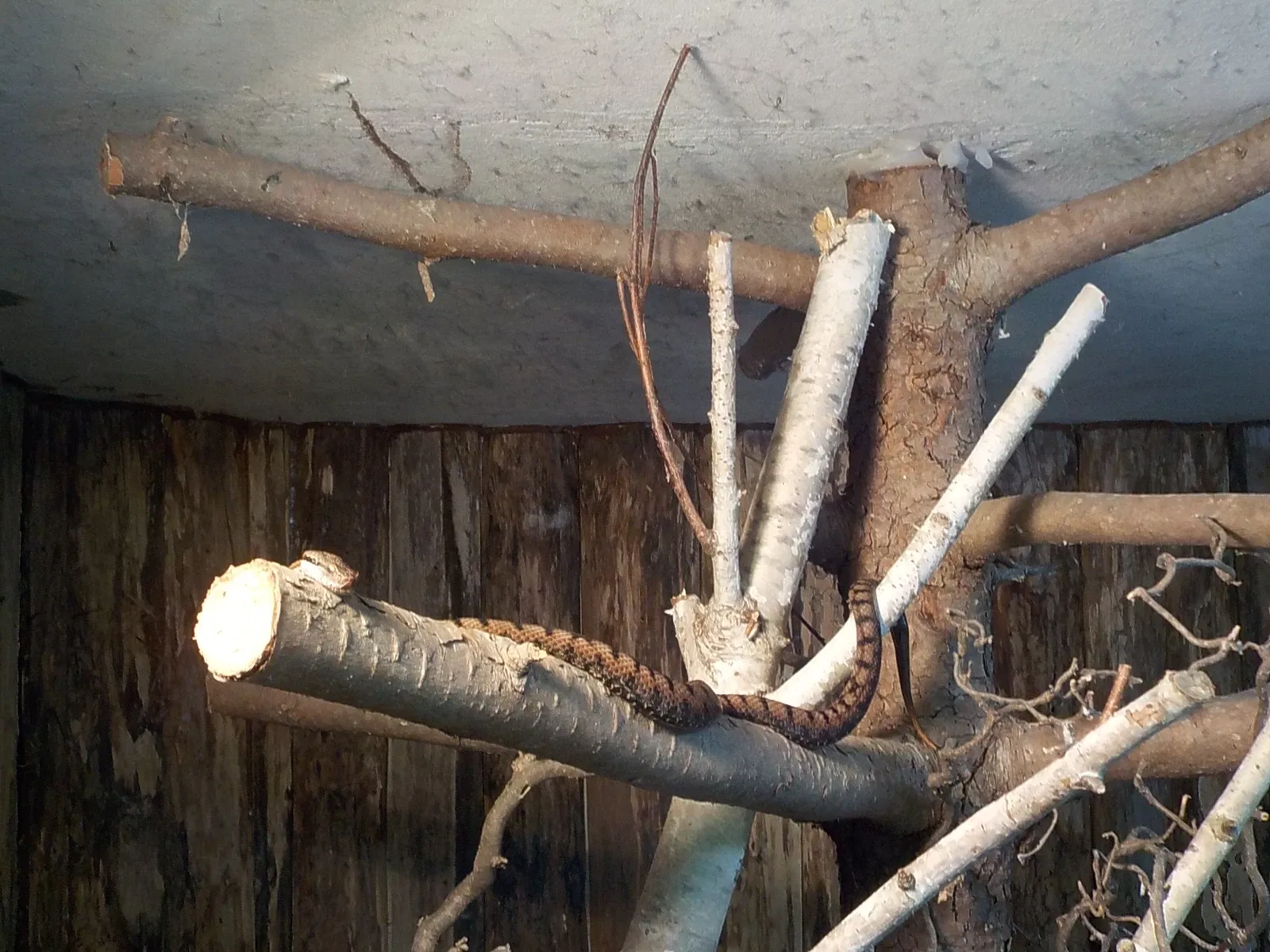 Giardino Zoologico di Pistoia