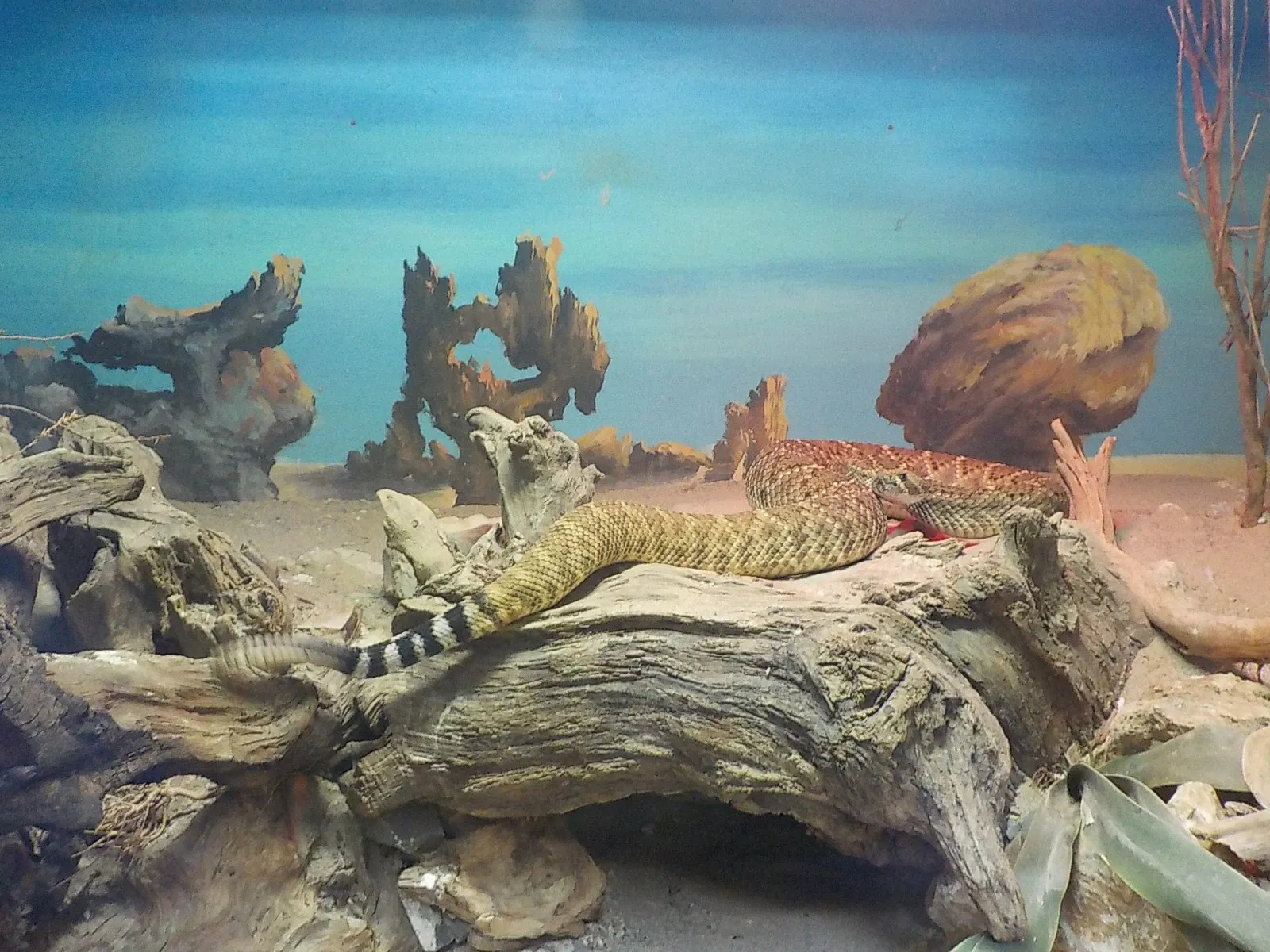 Giardino Zoologico di Pistoia