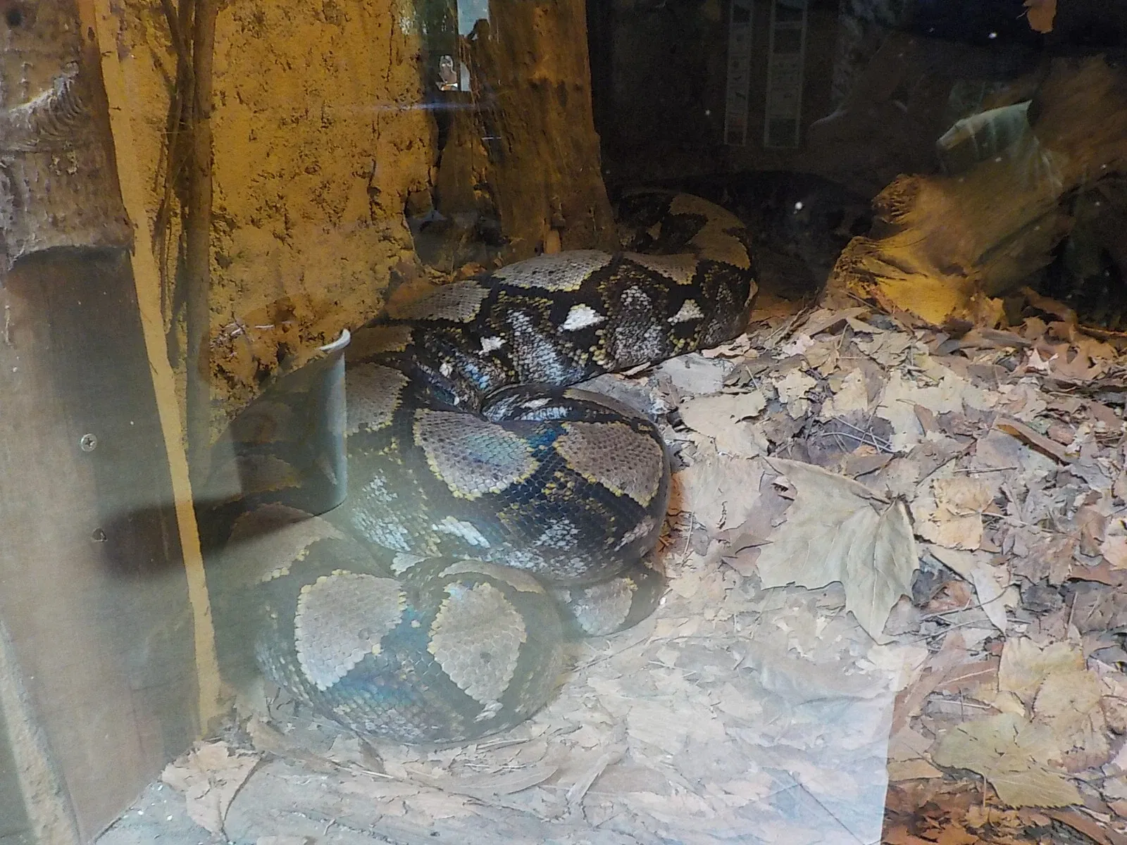 Giardino Zoologico di Pistoia