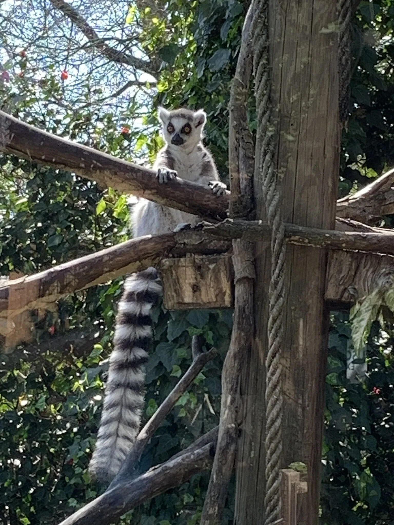 Giardino Zoologico di Pistoia