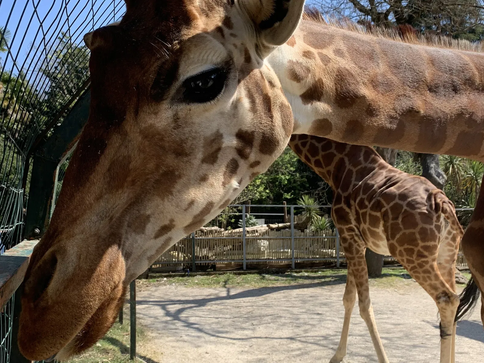 Giardino Zoologico di Pistoia
