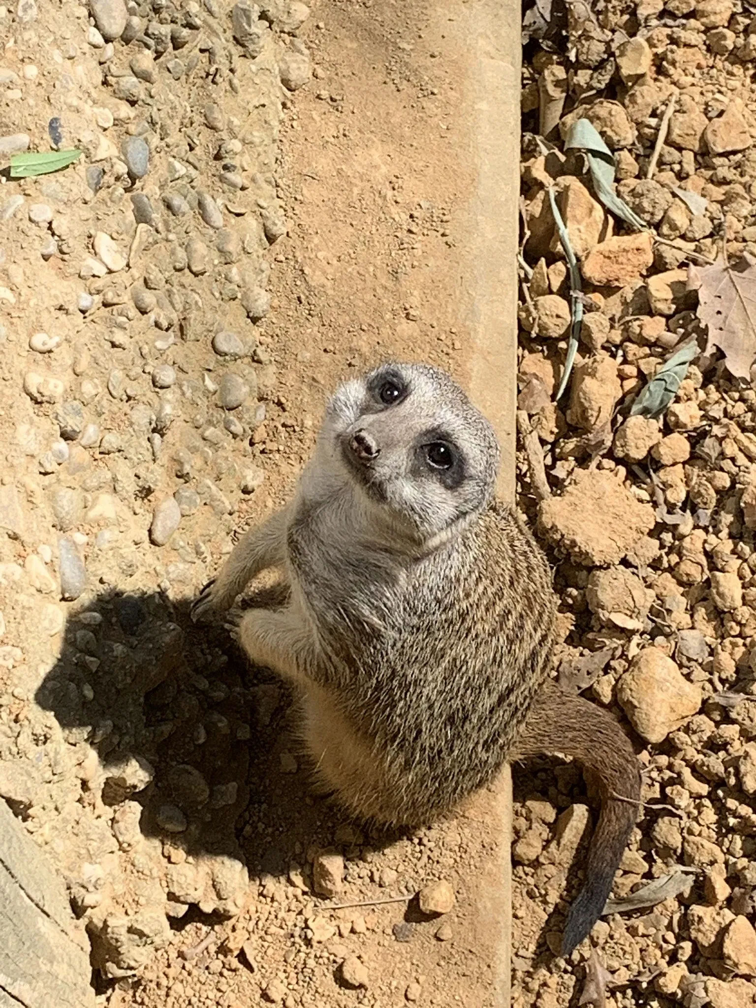 Giardino Zoologico di Pistoia