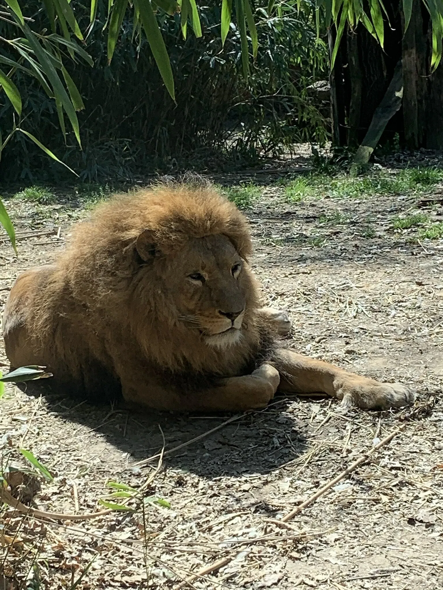 Giardino Zoologico di Pistoia