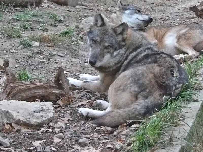 Giardino Zoologico di Pistoia